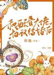 冷落月凤城寒免费阅读无弹窗
