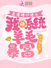 一个陌生女人的来信深度解析