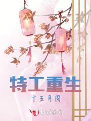 身份证挂失网上挂失