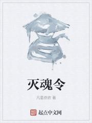 灭魂令