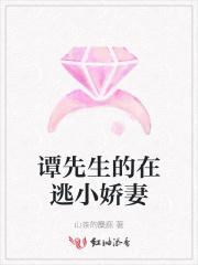 夏有乔木雅望天堂演员表
