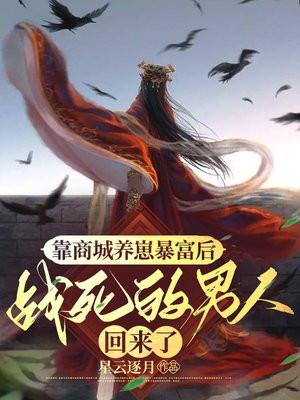 狐狸夫人太正经作者顾家七爷