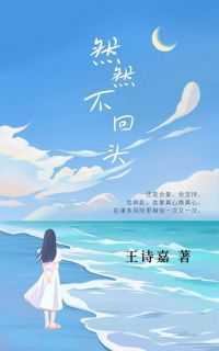 锅匠裁缝士兵间谍影评