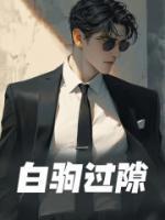 白朗姆调酒配方大全