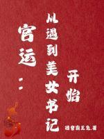 魔球东野圭吾主要内容