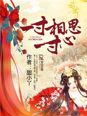芍药迷宫这碗粥书评
