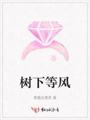 掌御星辰全文免费阅读无弹窗