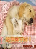 种田养崽将军他诈尸了
