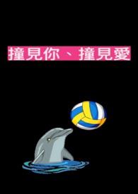 星武通神免费阅读