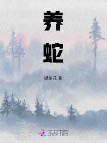 舞阳风云录txt