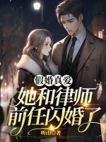 暖宝的梦 第501章