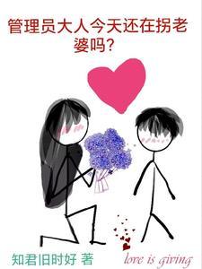 超级师傅的保释金