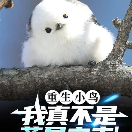 热浪席卷[天灾