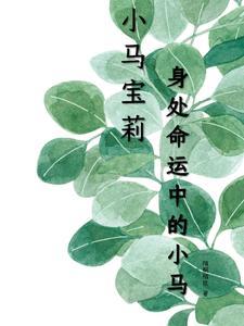 我靠沙雕在二次元苟活笔趣阁