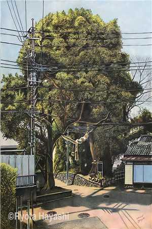山神竟是我自己