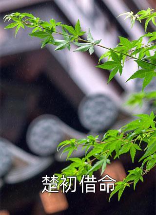 阿槽医疗职场