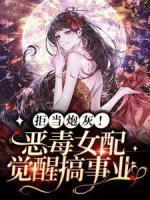 小李飞刀2边城浪子