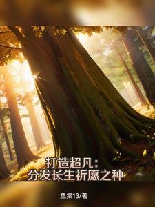 魔法师大师价格