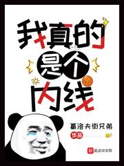 超级护花天王苏锐