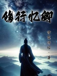 你管这叫游击队?