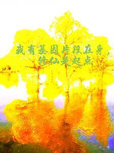 丁长林的巅峰人生