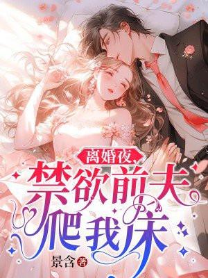 衣冠不南渡无防盗