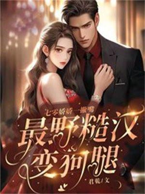 寻宝美利坚TXT