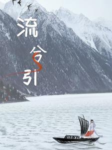 资本对决 有声