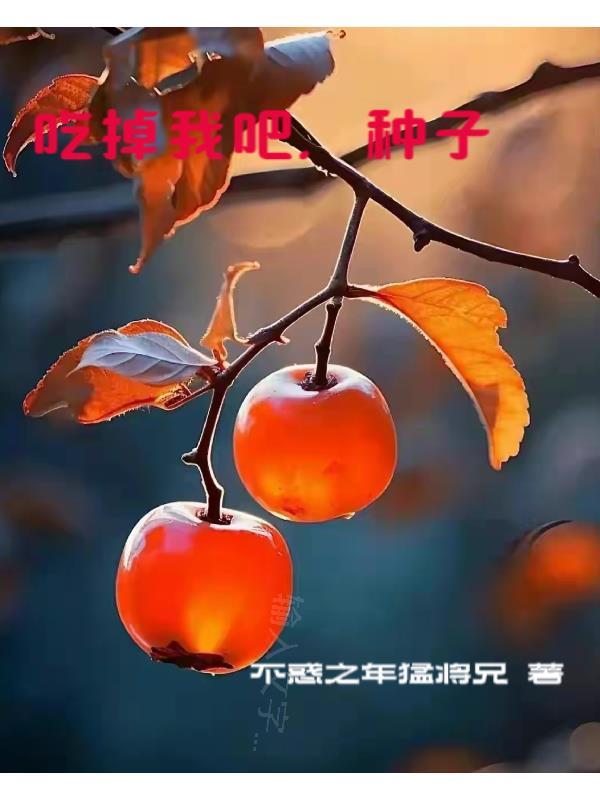 王爷每日一问小妾今天宅斗了吗txt