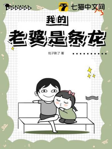 女装佳人养成日记没看懂