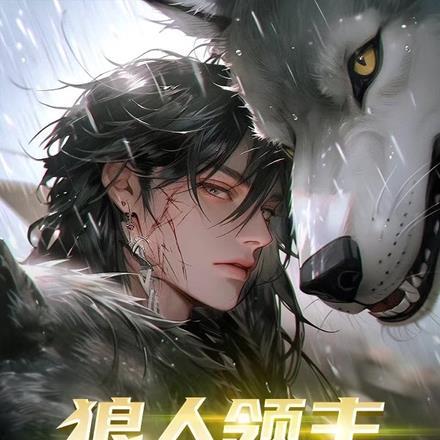 美的历程读后感