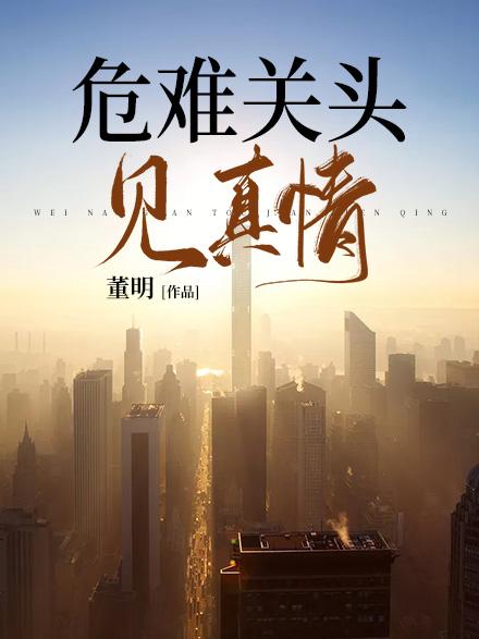 红楼之挽天倾无防盗阅读追书TXT