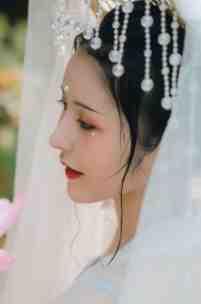 最牛上门女婿全文免费阅读