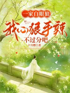 复明症漫记TXT