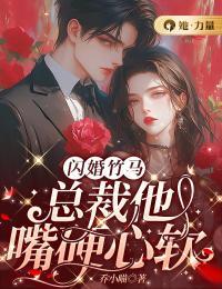 小妇人原著简介