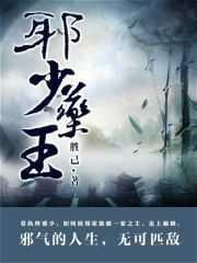 布卢瓦城来的漂亮朋友讲的什么