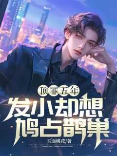 我的氪金游戏一定有问题免费阅读