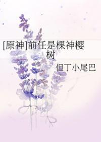 败絮穿书by西瓜炒肉