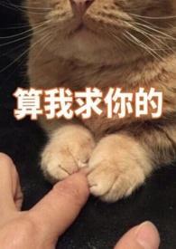 替身皇后她不想争宠讲的什么