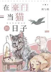 权路迷局步步青云