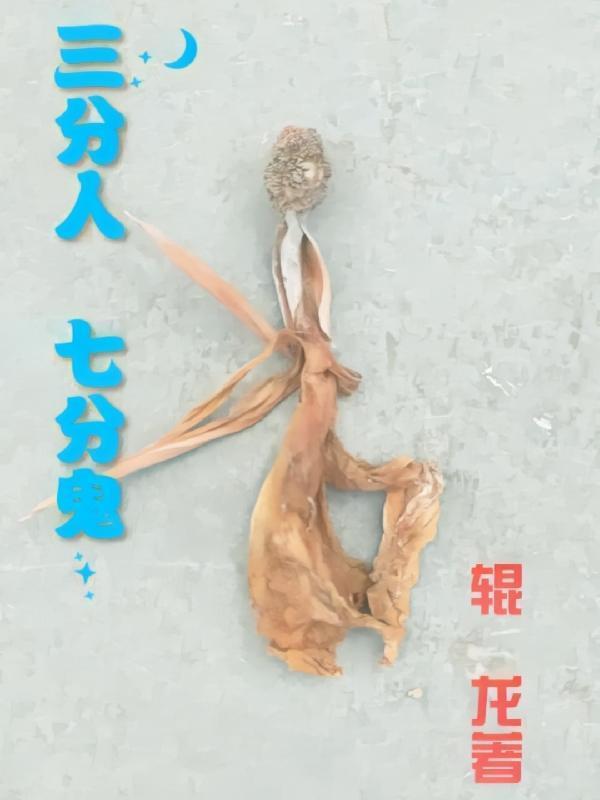 洪荒之圣道煌煌风曦是谁