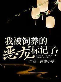 重生娶了对照组做夫郎完整版