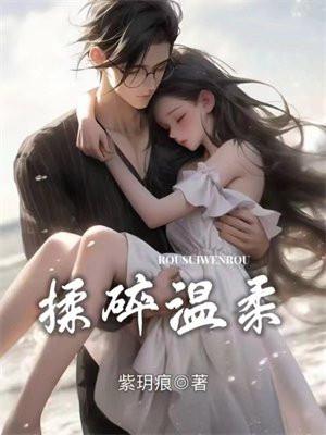 再见贺之昭长佩