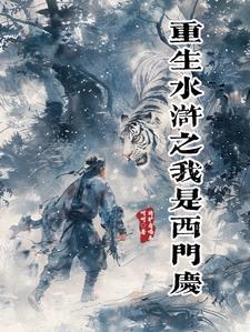 技术派侧福晋清穿