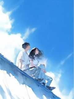 这个赘婿太暴躁了免费阅读