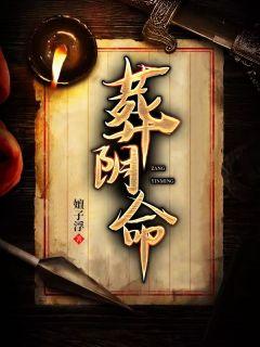 暗恋月亮txt