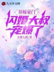 四合院五十年代傻柱