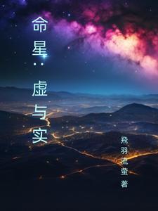 帕洛马尔是做什么的
