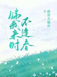 全民转职召唤师开局神里绫华