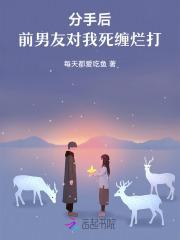 谋杀罂粟讲的什么